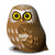 Eugy Cardboard Model Kit Owl