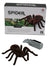 Remote Controlled Spider Requires 4xAAA Batteries