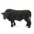 Co88507 Black Angus Bull