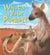 Whats in Your Pocket ? Hard Cover Book