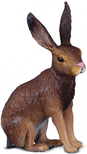 Co88012 Brown Hare