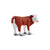 Co88236 Hereford Calf Standing
