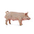 Co88864 Pig Boar M