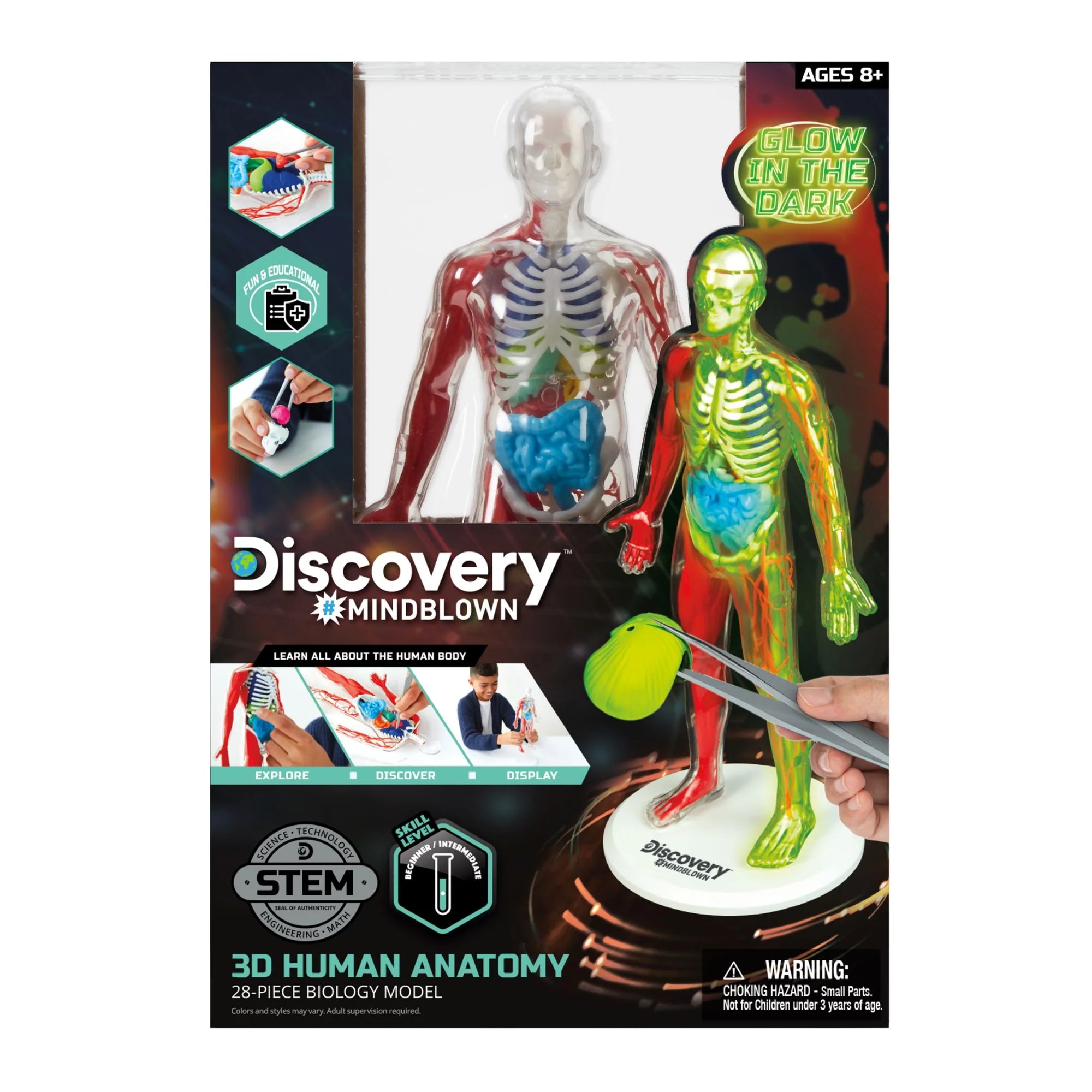 Discovery 3d Human Body Anatomy Kit