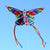 Rainbow Butterfly Single String Kite