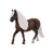 SC13898 Black Forest Mare