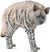 Co88566 Striped Hyena