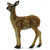 Co88471 Red Deer Calf