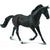 Co88478 Thoroughbred Mare Black