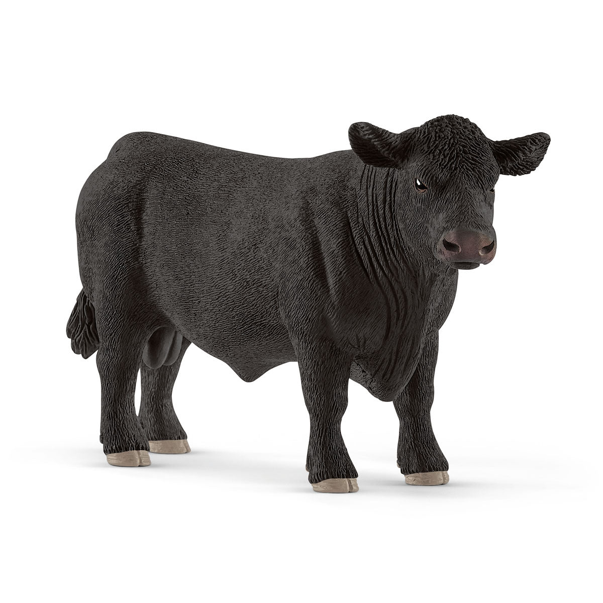 SC13879 Black Angus Bull