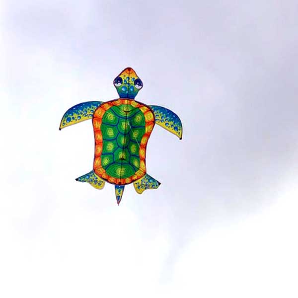 Sea Turtle Single String Kite
