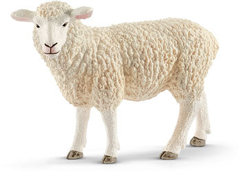 SC13882 Sheep