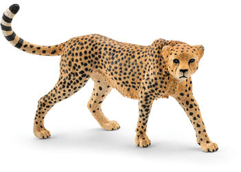 SC14746 Cheetah Female
