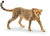 SC14746 Cheetah Female